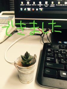 干し草的なものを置いて、グリー