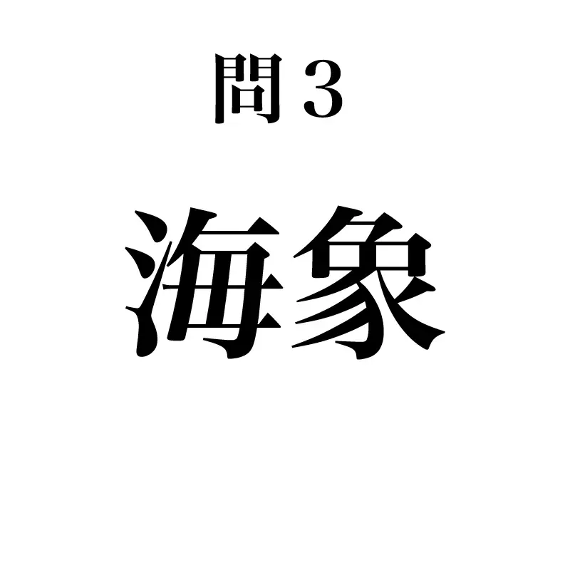 海象という漢字が書かれている