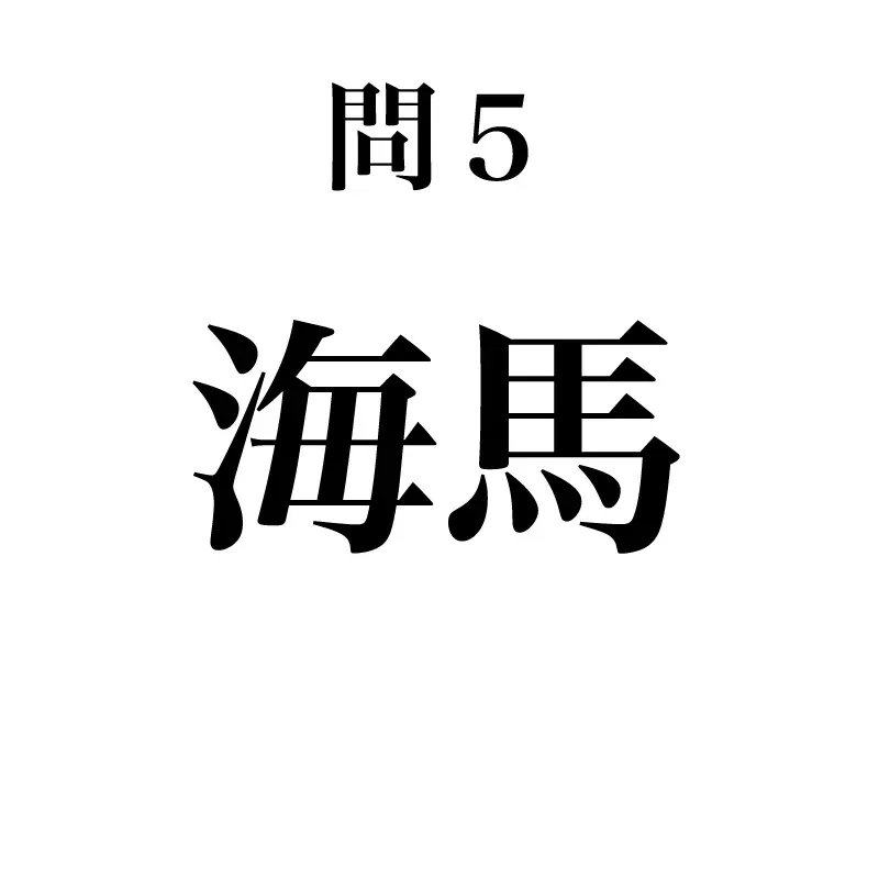 海馬という漢字が書かれている