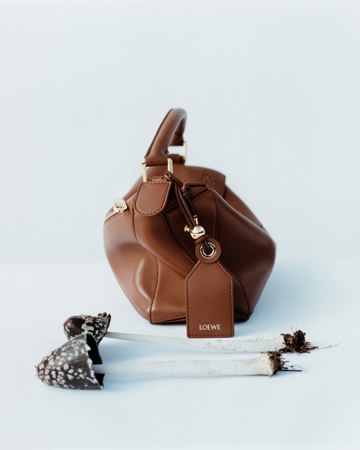 LOEWEらしい洗練されたデザイン カジュアルなハンドバッグ ロエベの最新バッグでカジュアルがリッチに変わる【オードリー亜