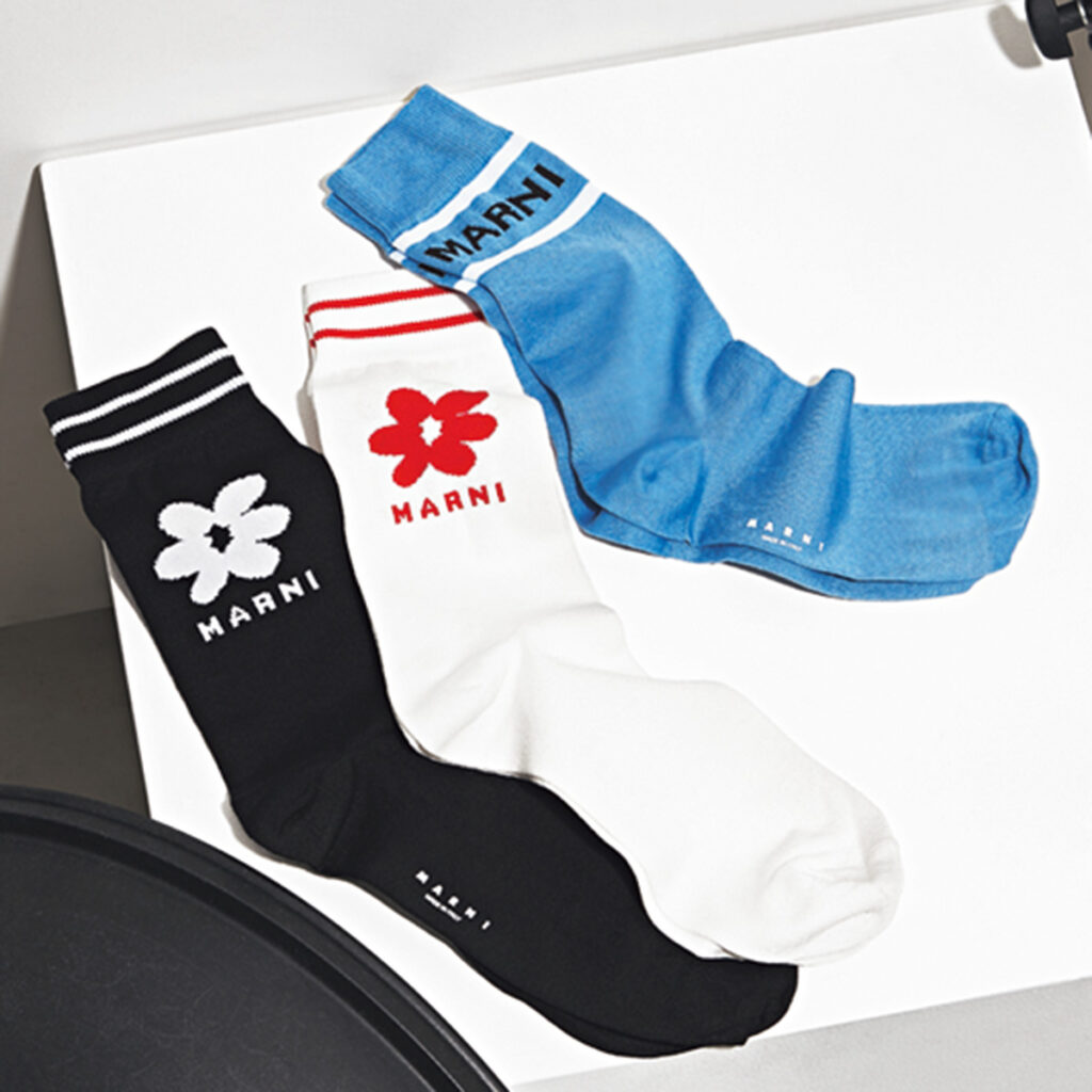 マルニのソックス