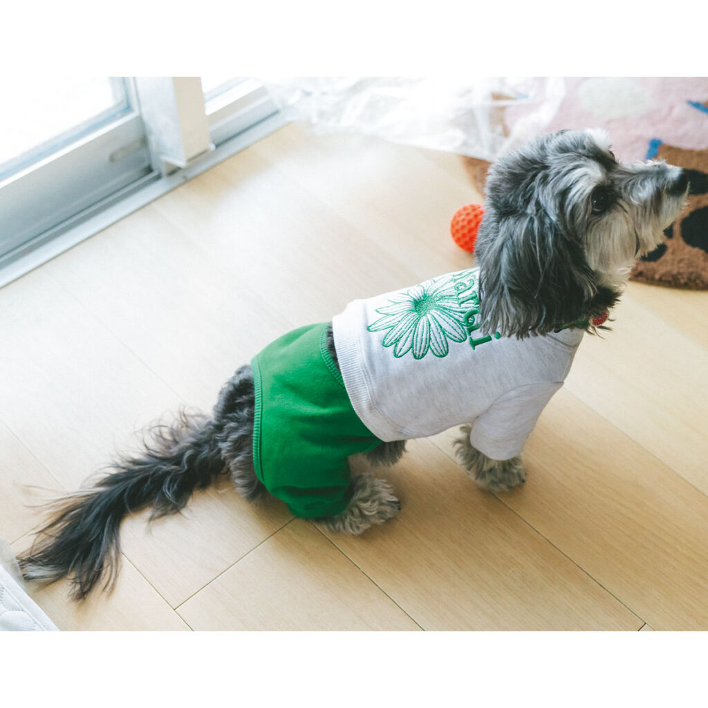 Mardi Mercrediの犬用スウェット