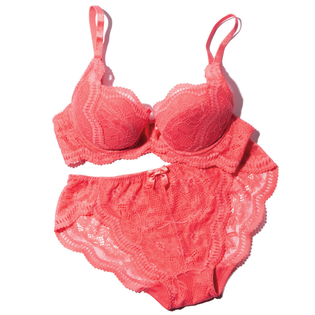 ガブリエル・ペコの総レースのブラジャーとショーツ