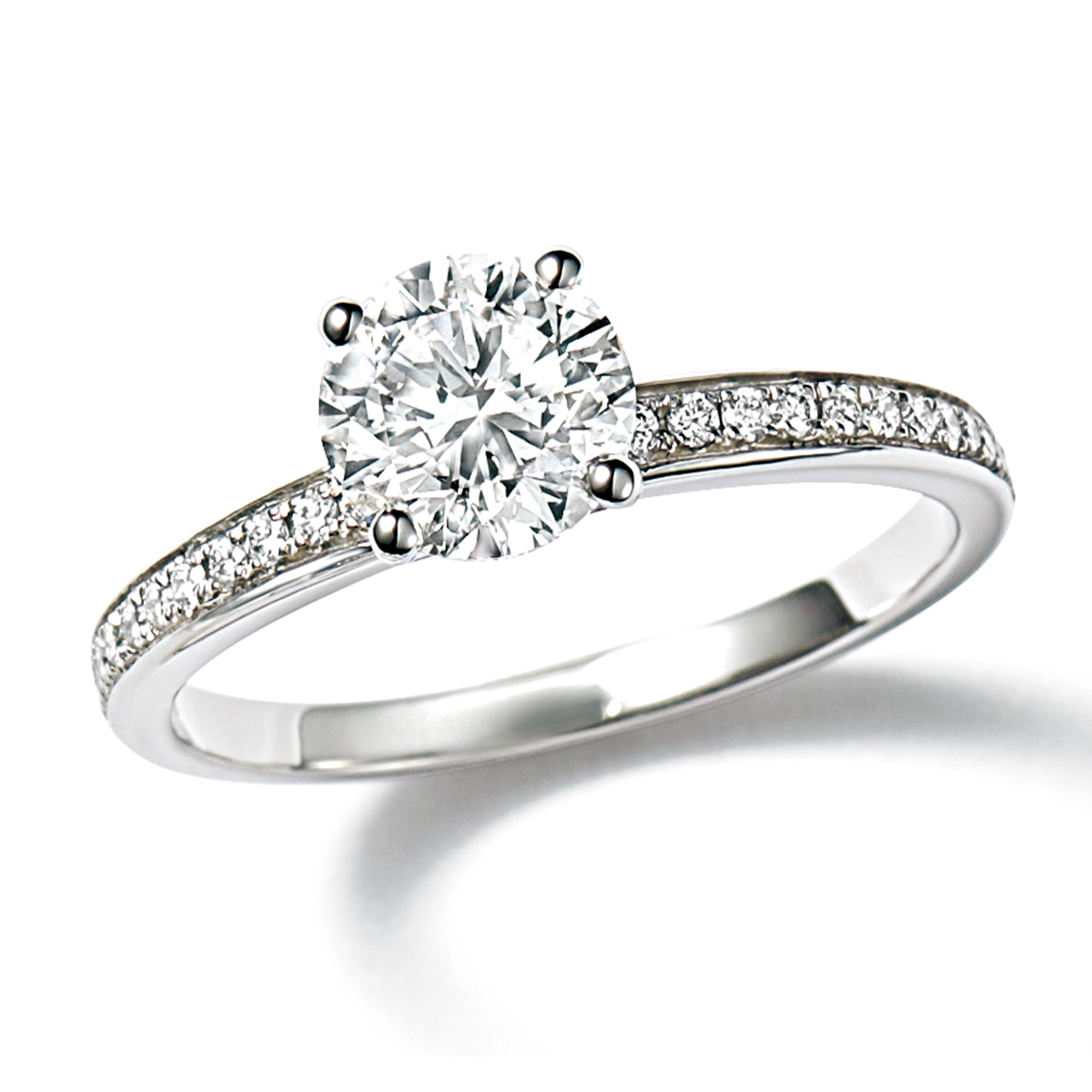 「ローマ アモール」