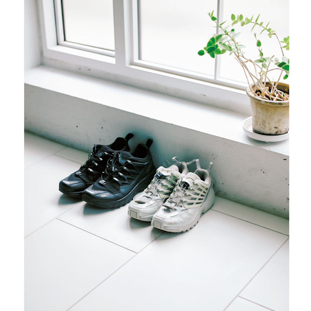 サロモンのスニーカー