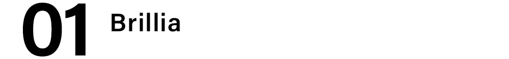 01 Brillia