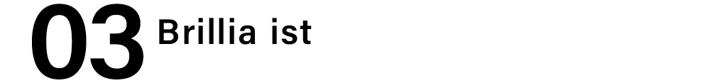 03 Brillia ist