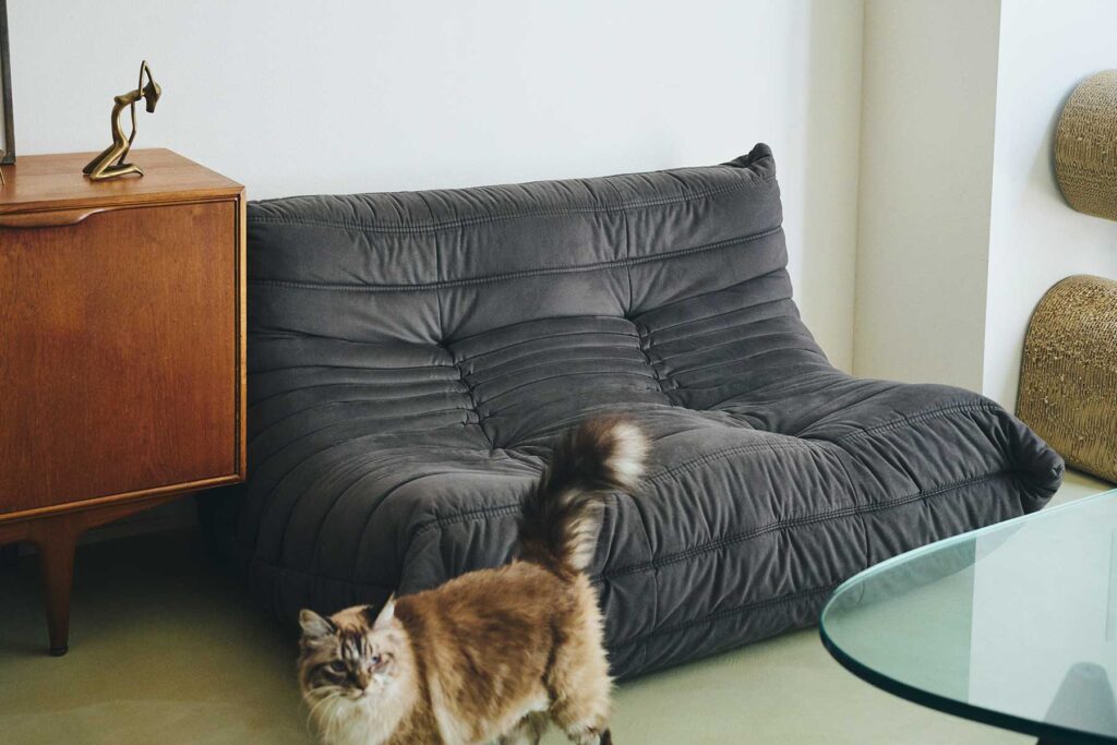 リーン・ロゼのロゼトーゴ