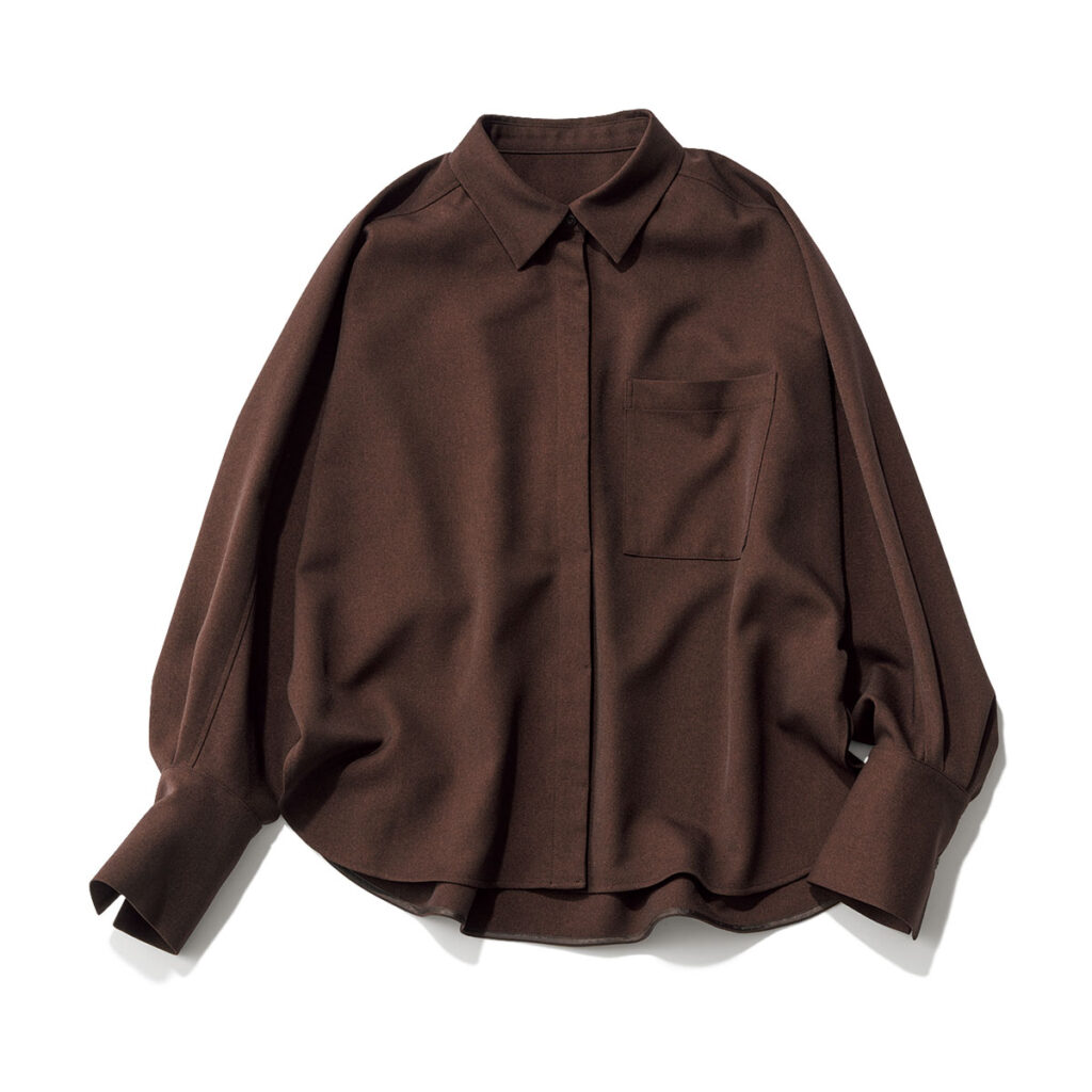 ブラウンシャツ