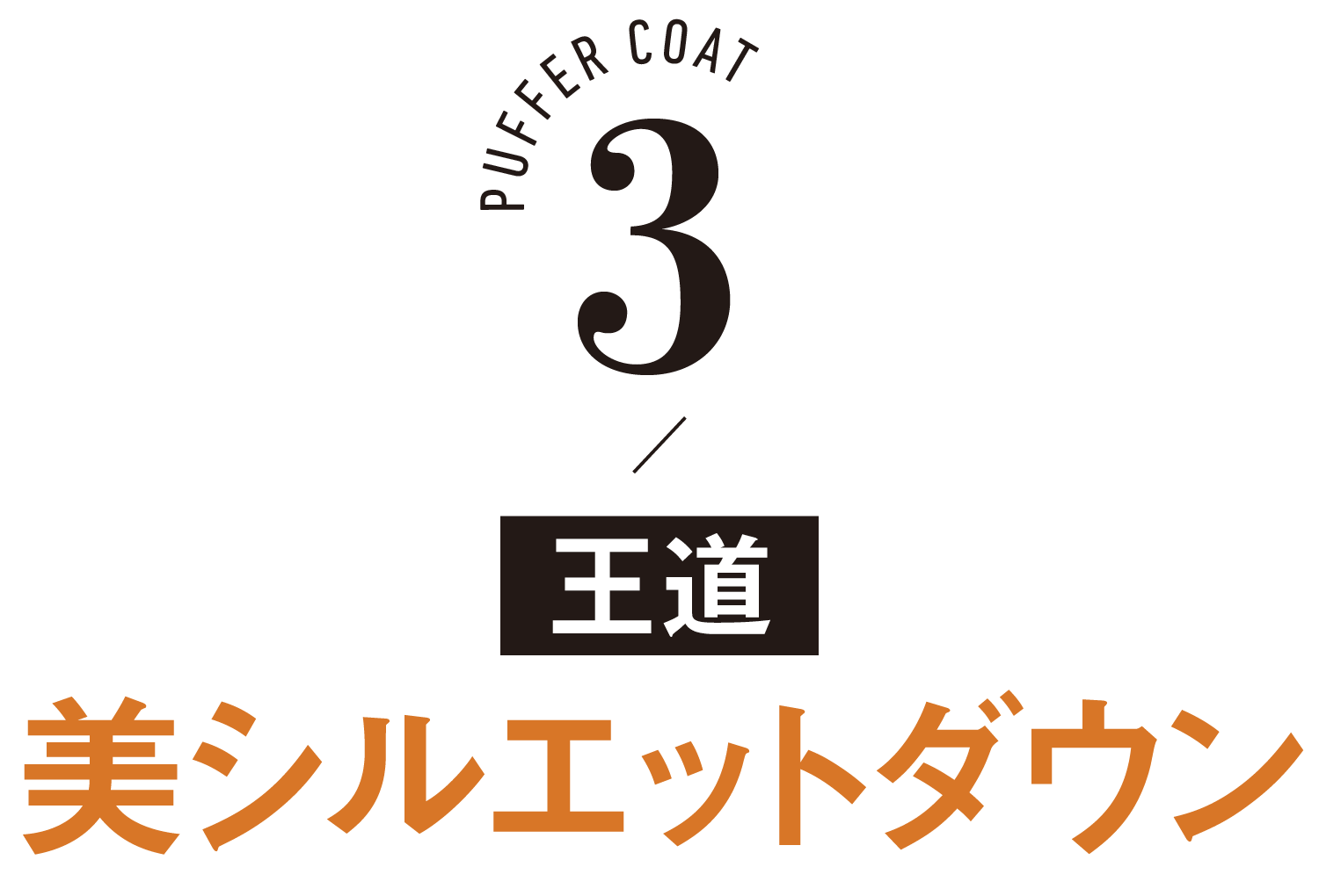 PUFFER COAT-3/王道美シルエットダウン