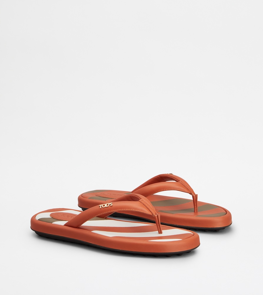 トッズのポップアップにて販売の日本限定カラー・先行発売アイテム