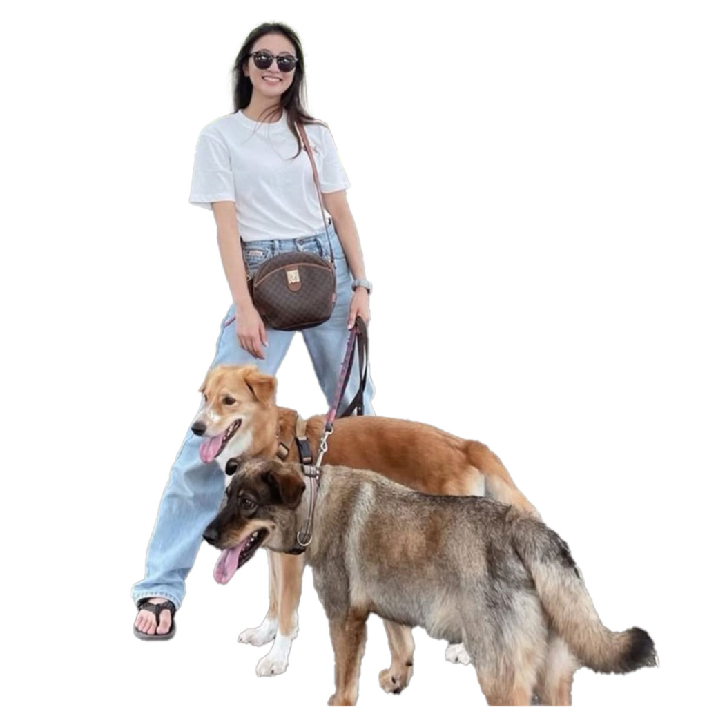 実家の愛犬とウォーキング